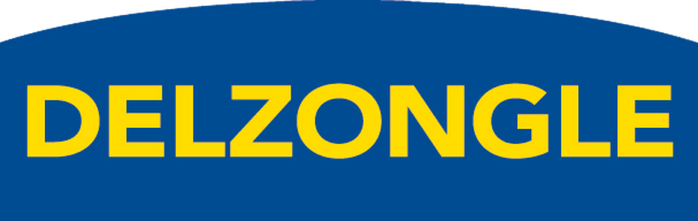 Logo-Delzongle